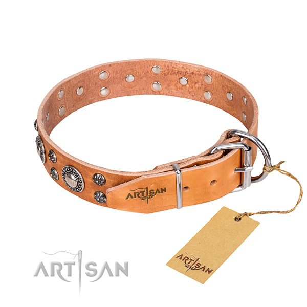 Durable leather collar for your handsome canine