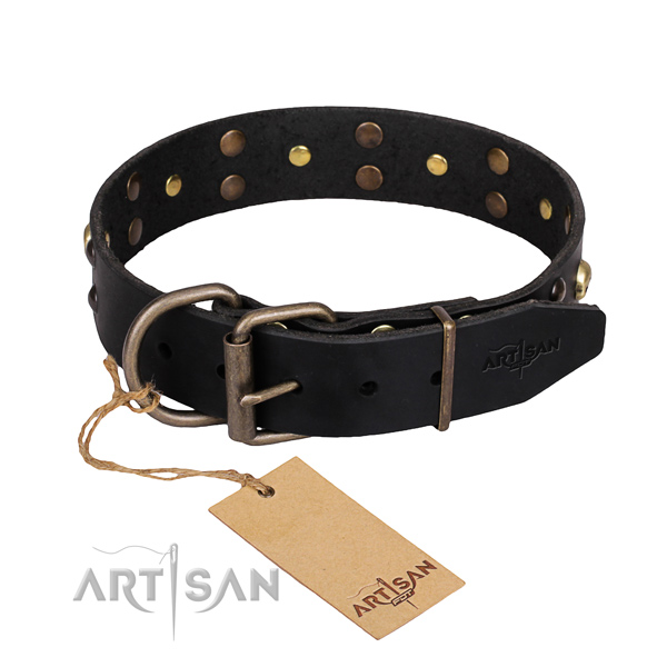 Dependable leather dog collar with strong hardware