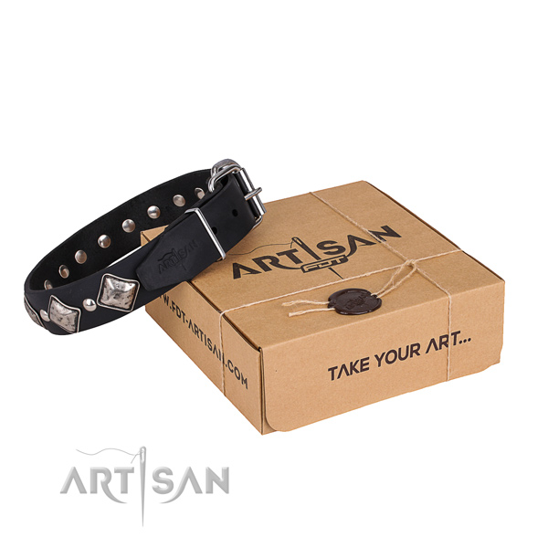 Casual leather dog collar with incredible decorations