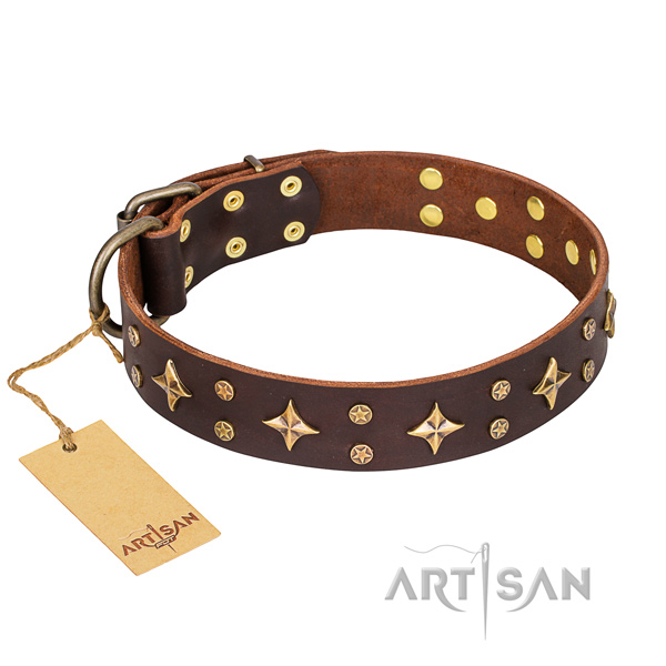 Resistant leather dog collar with corrosion-resistant details