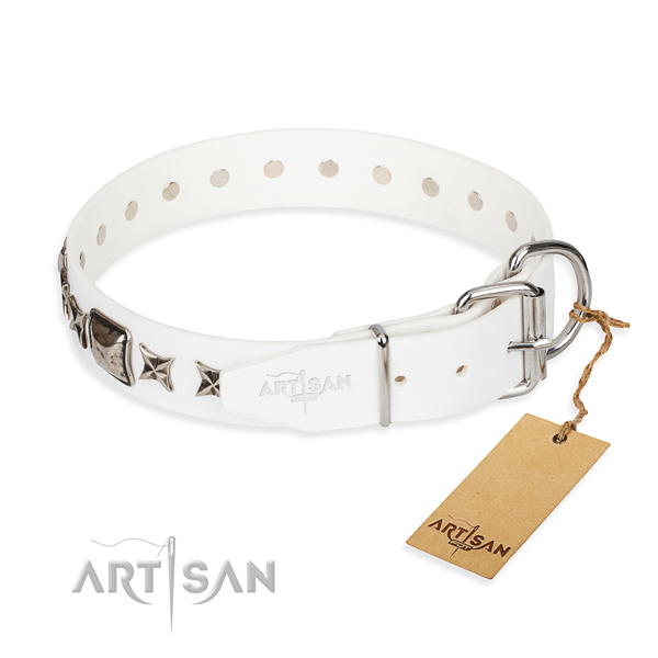 Sturdy leather dog collar with reliable hardware