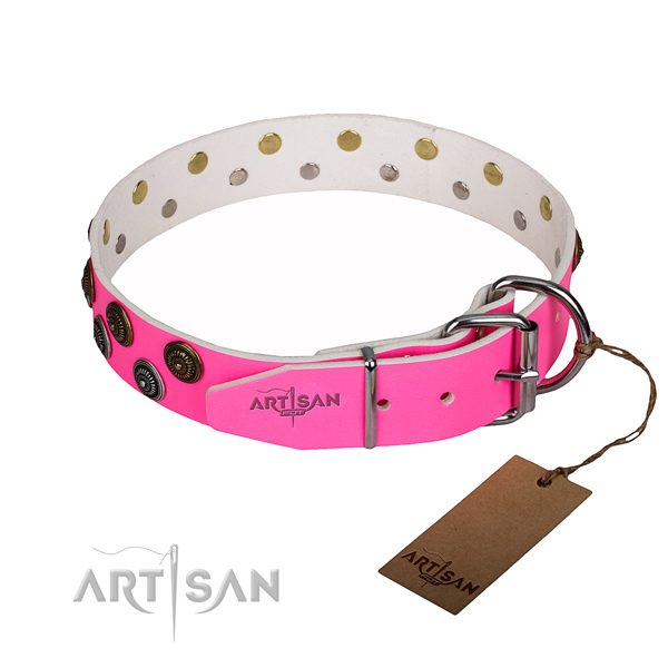 Indestructible leather dog collar with riveted details