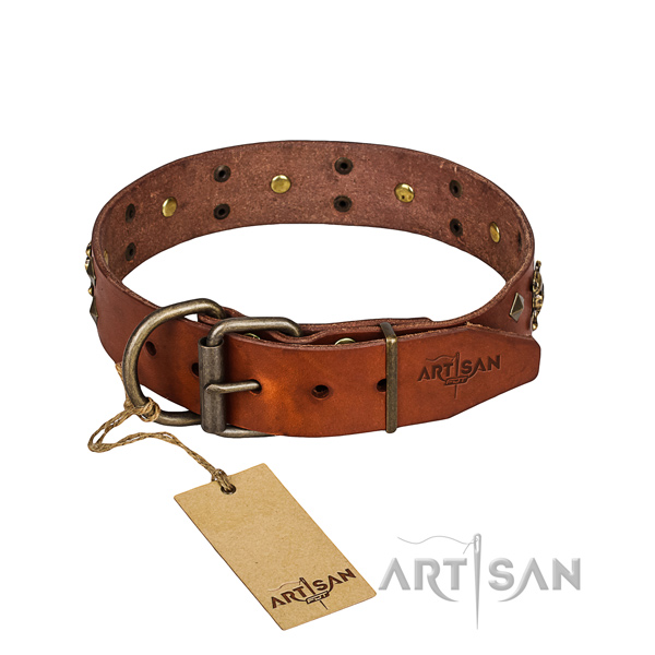 Heavy-duty leather dog collar with durable fittings for Great Dane