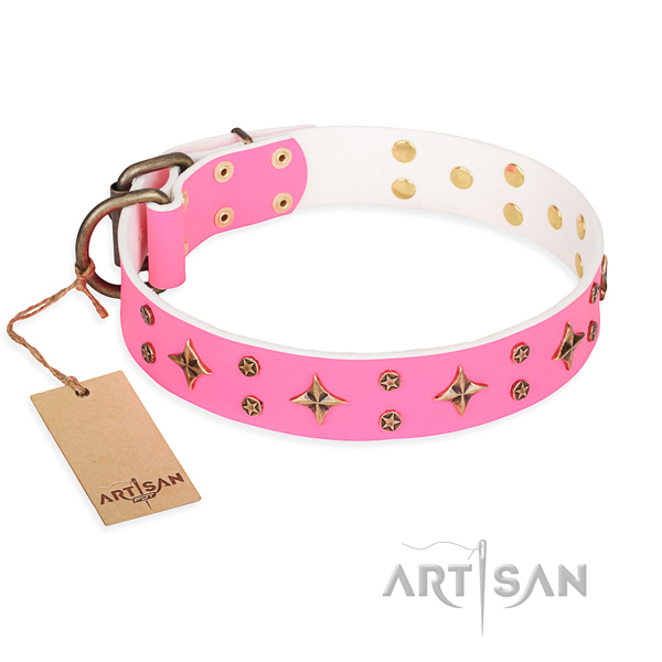 Heavy-duty leather dog collar with riveted details