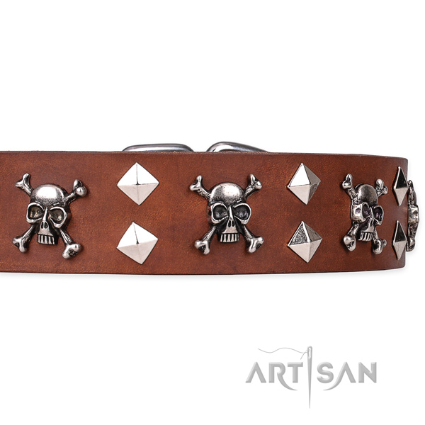 Day-to-day leather dog collar with sensational studs