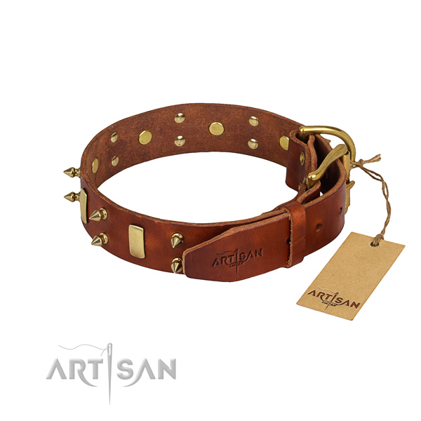 Full grain natural leather dog collar with thoroughly polished exterior