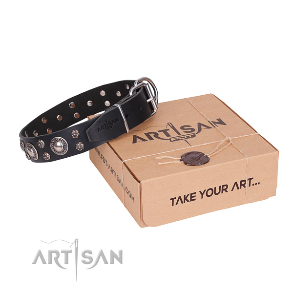 Casual leather dog collar with exciting decorations