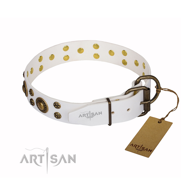 Dependable leather dog collar with sturdy elements