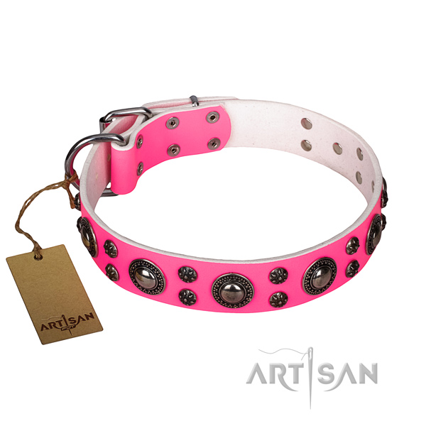Sturdy leather dog collar with durable details