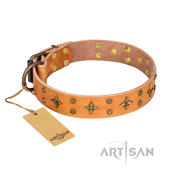 Tough leather dog collar with riveted fittings