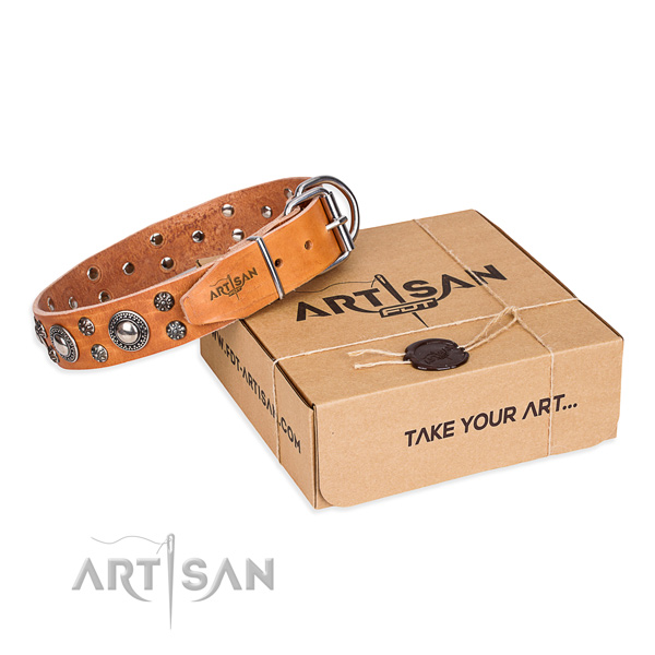 Casual leather dog collar with stunning adornments