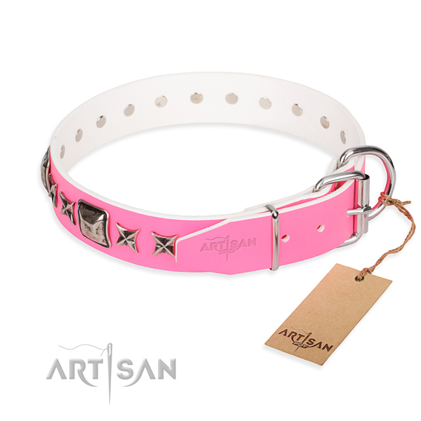 Hardwearing leather dog collar with sturdy elements