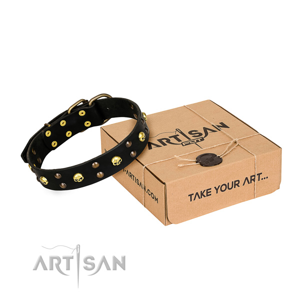 Day-to-day leather dog collar with extraordinary studs