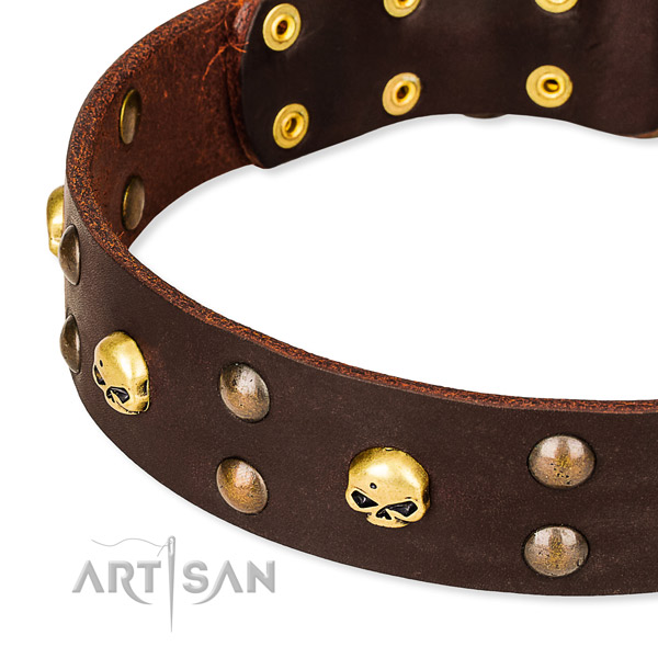 Day-to-day leather dog collar for reliable use