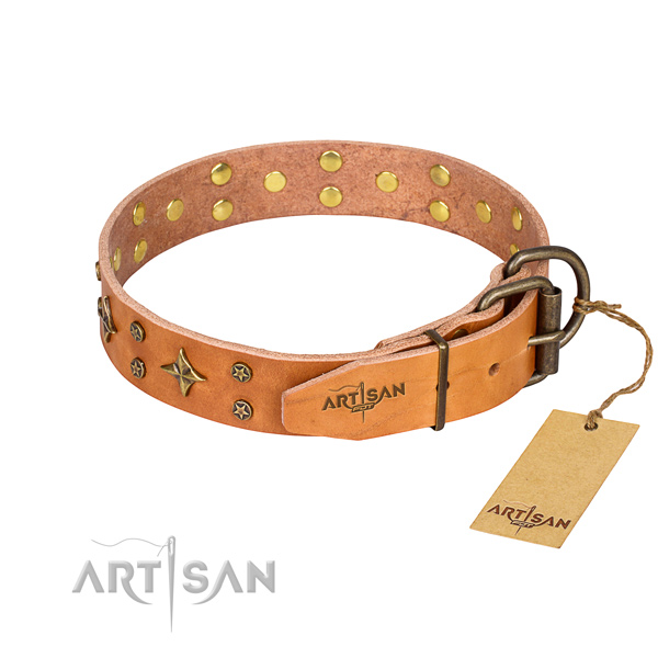 Practical leather collar for your darling four-legged friend