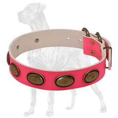 Plated Leather Dog Collar for Walking