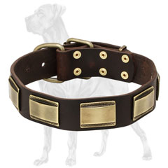 Leather Dog Collar with Riveted Plates