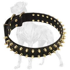 Leather Dog Collar with Riveted Spikes