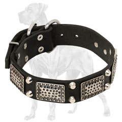 Riveted Leather Great Dane Collar 