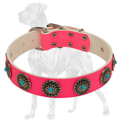 Pink Leather Dog Collar with Rivets