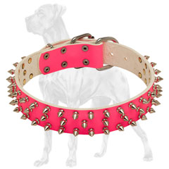 Pink Leather Dog Collar with Rivets