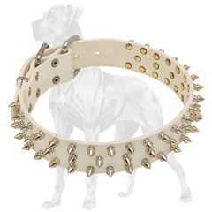 Spiked Leather Dog Collar with Spikes