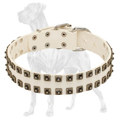 Riveted White Leather Dog Collar