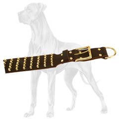 Adjustable Leather Great Dane Collar 