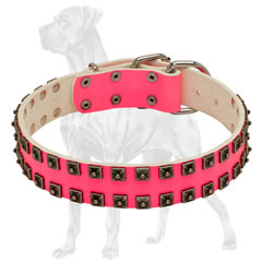 Pink Leather Dog Collar with Rivets
