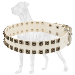 Walking White Leather Dog Collar
