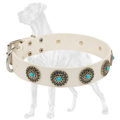 White Leather Dog Collar for Walking