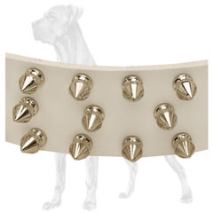 White Leather Dog Collar with Spikes