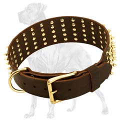 Riveted Leather Great Dane Collar with Spikes