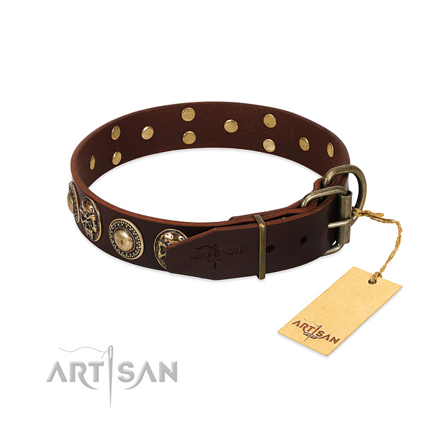 Everyday walking genuine leather collar with adornments for your doggie