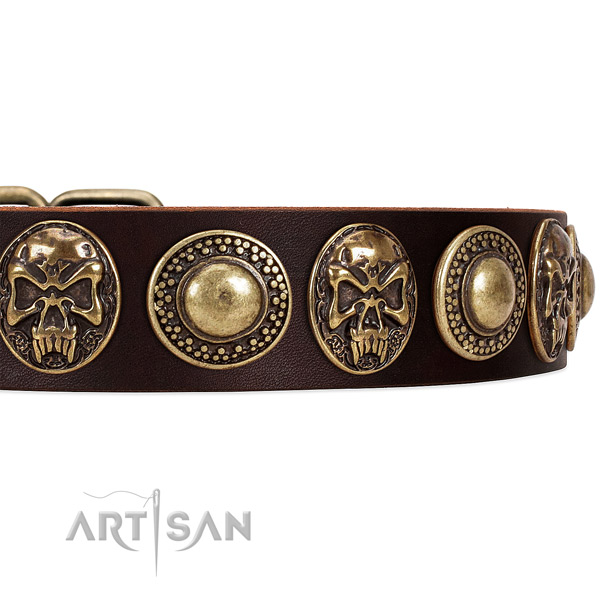 Leather dog collar with studs for everyday walking