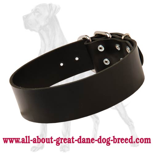 Gorgeous Wide Leather Dog Collar 