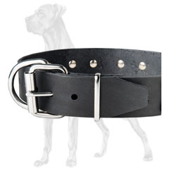 Safe Decorated Leather Dog Collar 