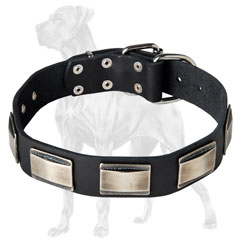 Fashionable Leather Dog Collar