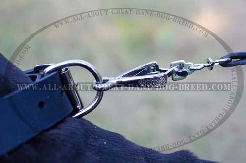 Exclusive Leather Great Dane Collar