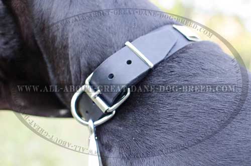 Easy to Use Leather Great Dane Collar 