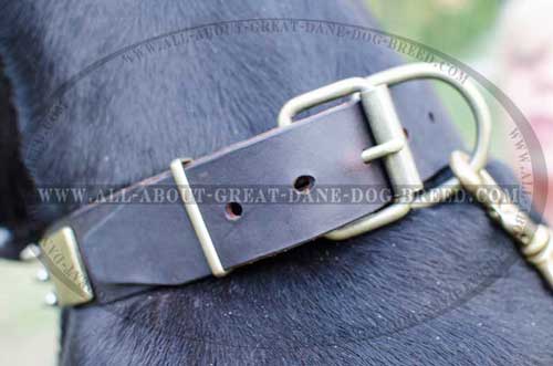 Tear Resistant Decorated Leather Great Dane Collar 