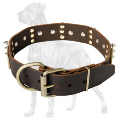 Decorated Leather Dog Collar