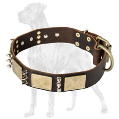 Wearproof Leather Dog Collar with Plates and Spikes