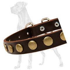 Non-Toxic leather Great Dane collar