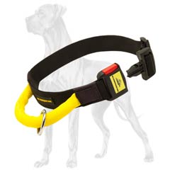 Black Nylon Dog Collar with Handle