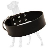 Premium Quality Leather Collar for Great Dane - 2 Inch Wide