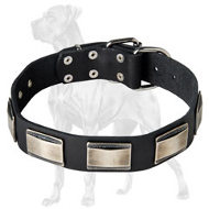 Wonderful Leather Collar with Nickel Plates for Great Dane