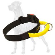 Adjustable Nylon Collar with a Quick Release Buckle for Great Dane