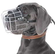 Wire Basket Dog Muzzle for Great Dane - Cage Basket Muzzles