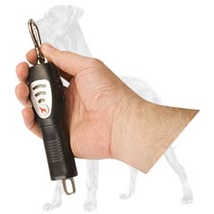 Great-Dane-Easy-Walking-Device